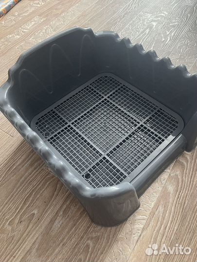 Лоток