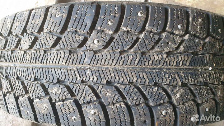 Gislaved Nord Frost 5 185/60 R14