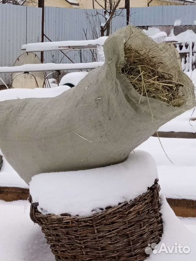 Сено луговое