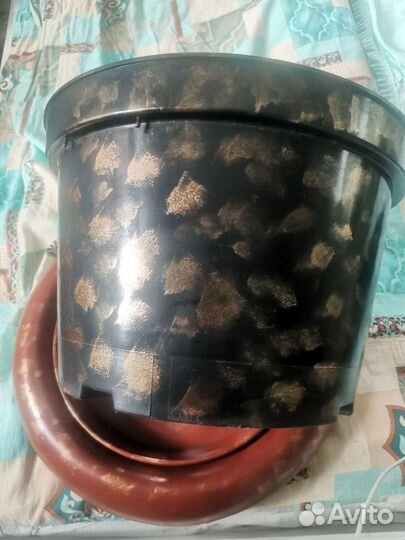 Кашпо на колёсах