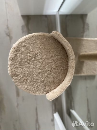 Когтеточка