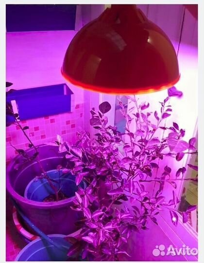 Лампы флора LED 7-50W для гидропоники и аквариума