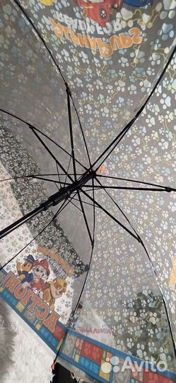 Зонт 