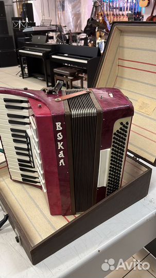 Аккордеон Вокал сиреневый