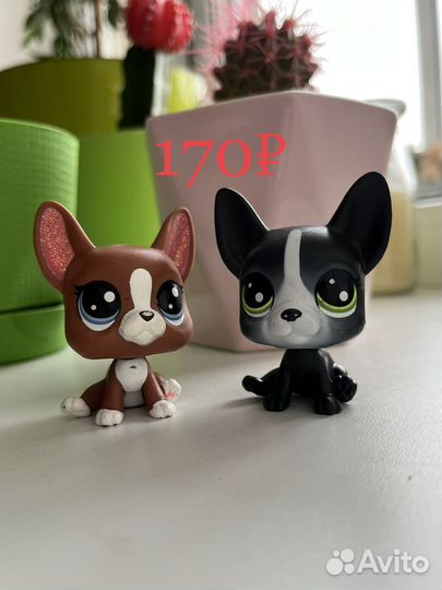 Littlest pet shop lps