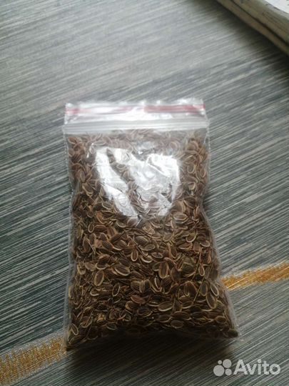 Семена укропа сортового