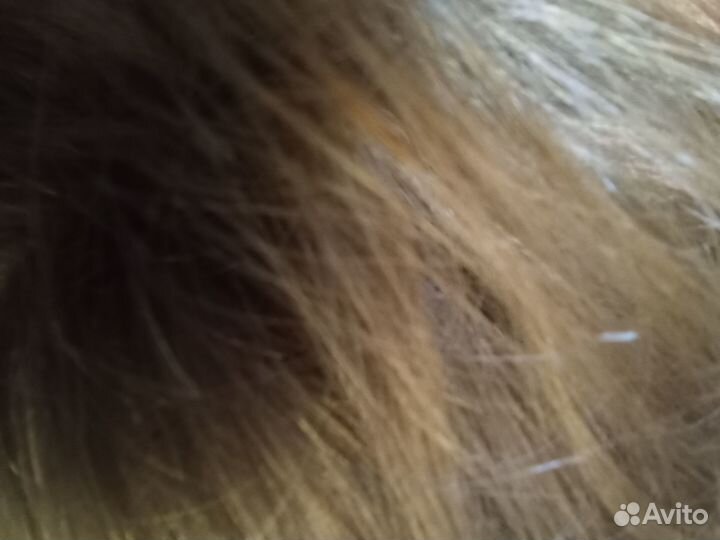 Шиньон. /обмен