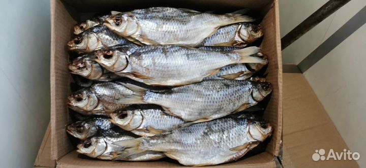 Вобла в наличии в Москве