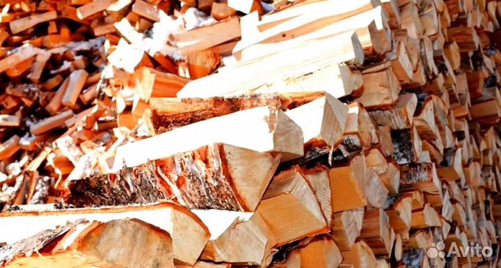 Дрова с Приморска