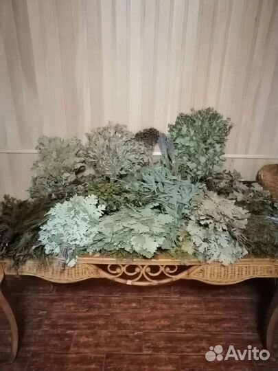 Банщик пармастер