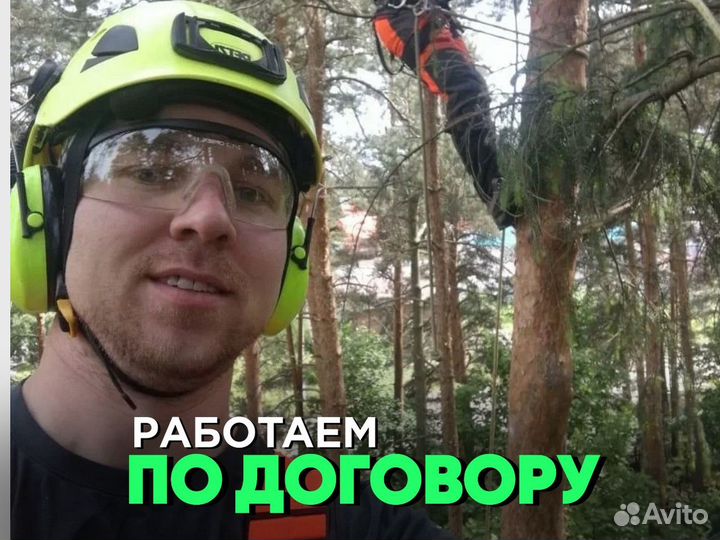 Расчистка участка под ключ. Спил деревьев и покос