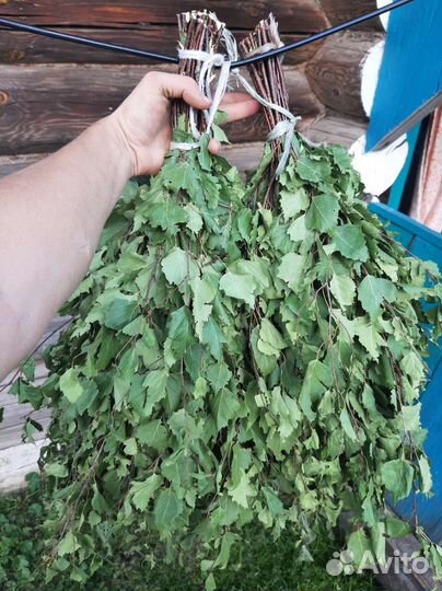 Свежие березовые веники для бани