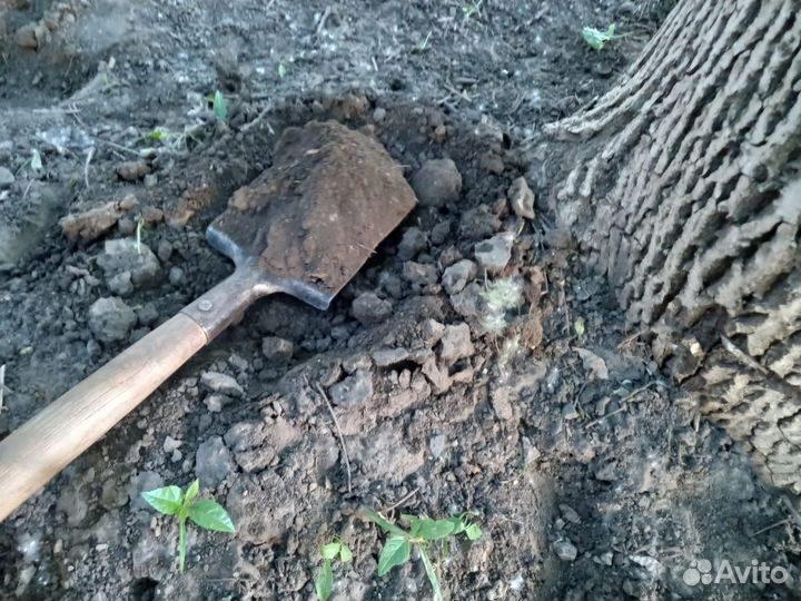 Перегной готовый 2г,чернозем классный,камаз 15т