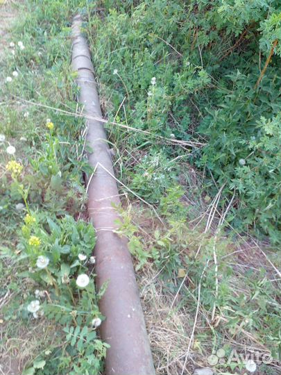 Продадим трубу деловую