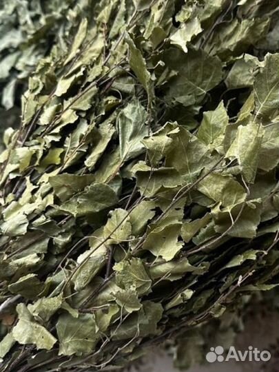 Веники для бани береза дуб