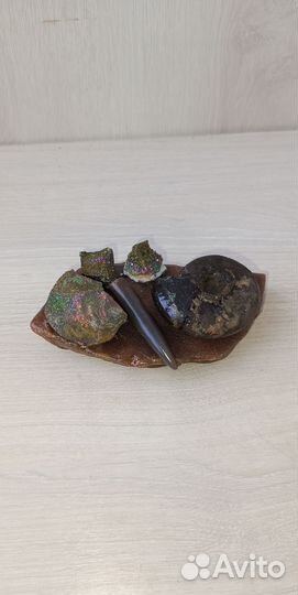 Композиция на симбирците 5 