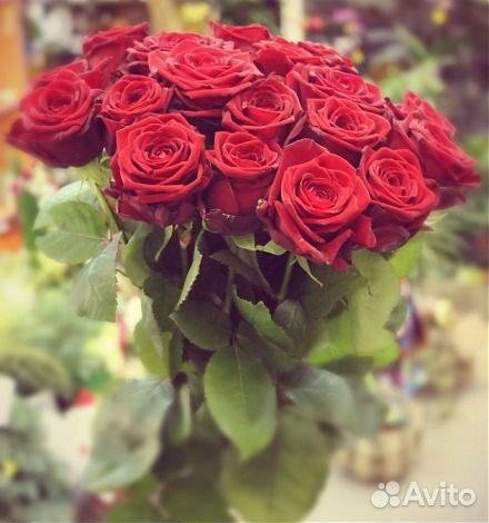 Цветы Розы красные 19 шт Freedom Эквадор