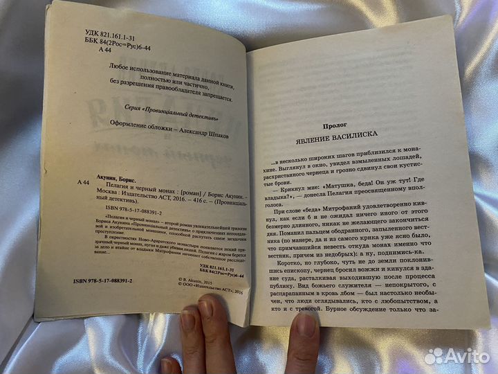 Книги борис Акунин