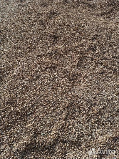 Кедровая шелуха от шишки удобрение Доставка