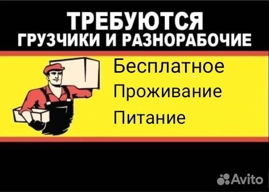 Грузоперевозки грузчики. Транспортная компания пятигорск. Бригада рабочих. Услуги разнорабочих ставрополь. Меркурий грузчиков 4.