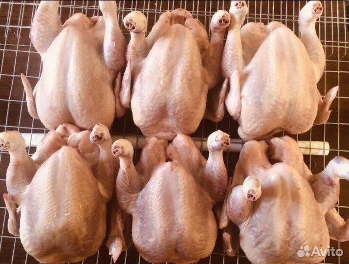 Домашнее мясо кур