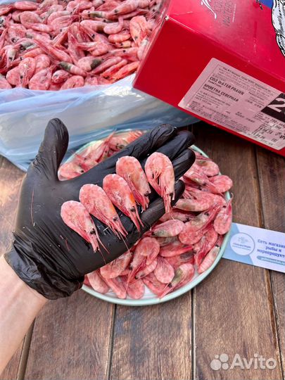 Мурманская креветка 200+