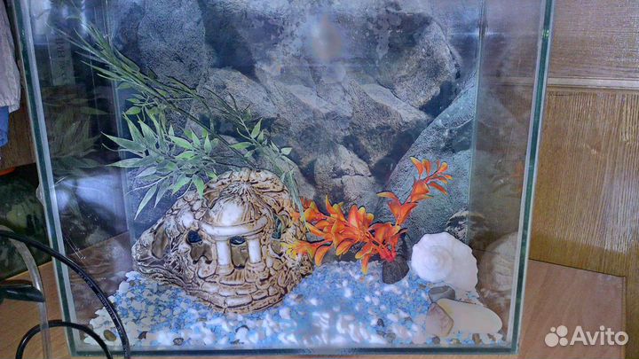 Аквариум+фильтр+начинка+сачок