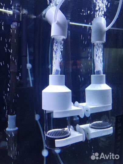 Инкубатор икры цихлид