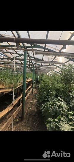 Отапливаемая Теплица