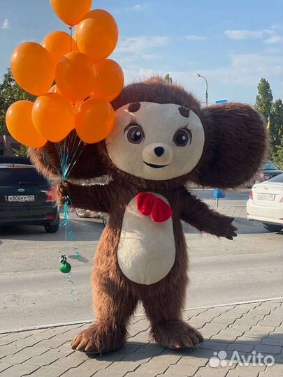 Аниматор Белый мишка поздравление чебурашка зайка