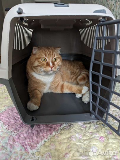 Новая переноска для животных Triol Travel M и L