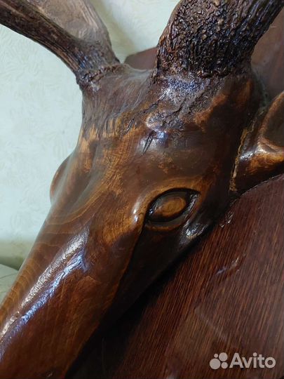 Голова Огромная Оленя Дерево сОригинальными Рогами