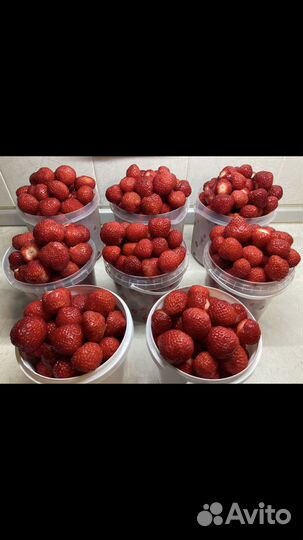 Домашние заготовки