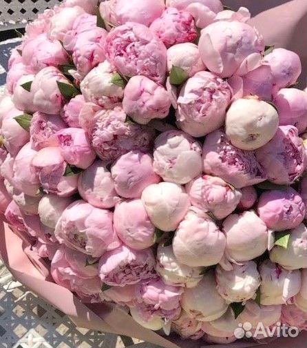 Доставка пионов