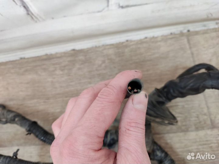 Проводка двигателя Accent Акцент