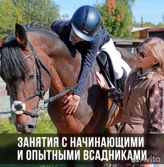 Обучение с нуля, конкур