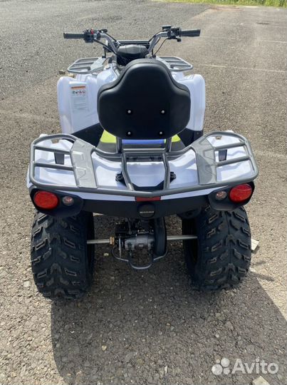 Квадроцикл Motoland Wild Truck X 200