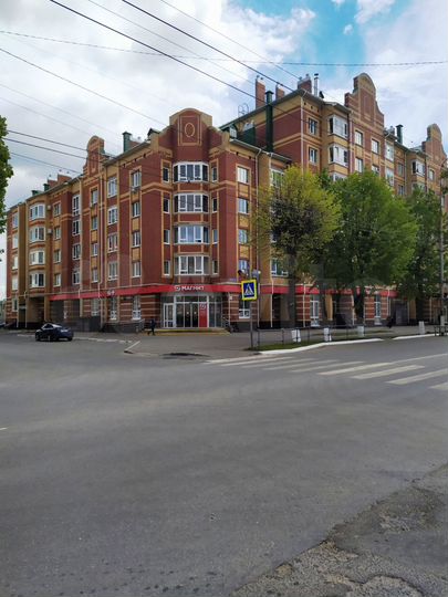 1-к. квартира, 48,8 м², 4/5 эт.