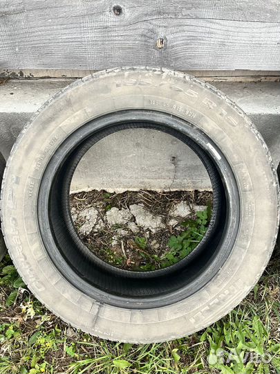 Pirelli Cinturato P1 185/65 R15