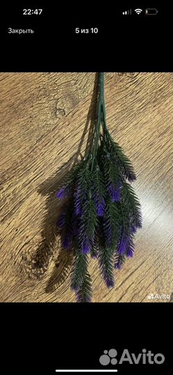 Декоративная зелень