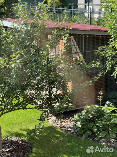 Вольер для собак