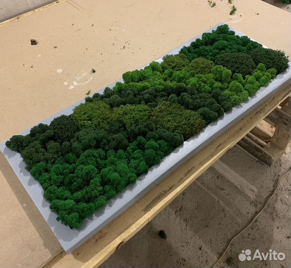 Панно из мха