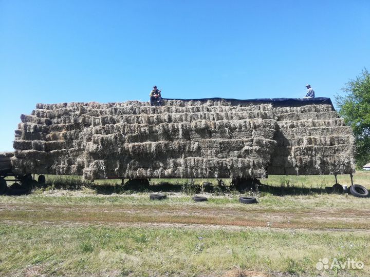 Сено в тюках