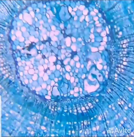Электронный микроскоп 15000 с видеокамерой