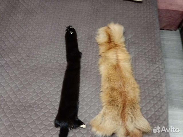 Чулок норки и лесы