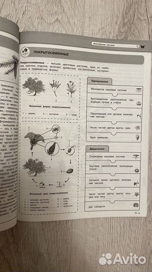 Учебное пособие по биологии