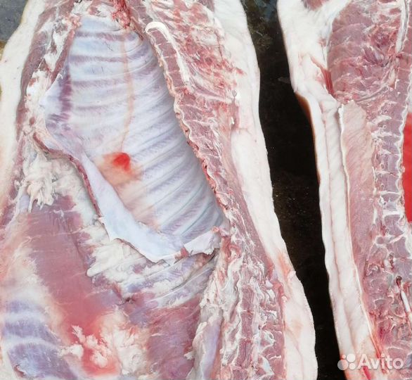 Продам мясо свинина