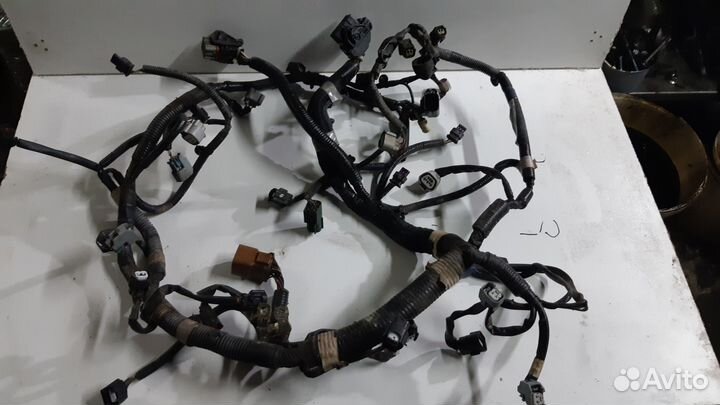 Проводка моторного отсека Subaru Forester