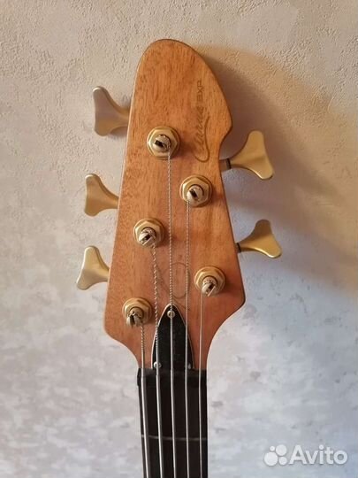 5 струнная бас гитара