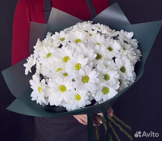 Хризантема оптом